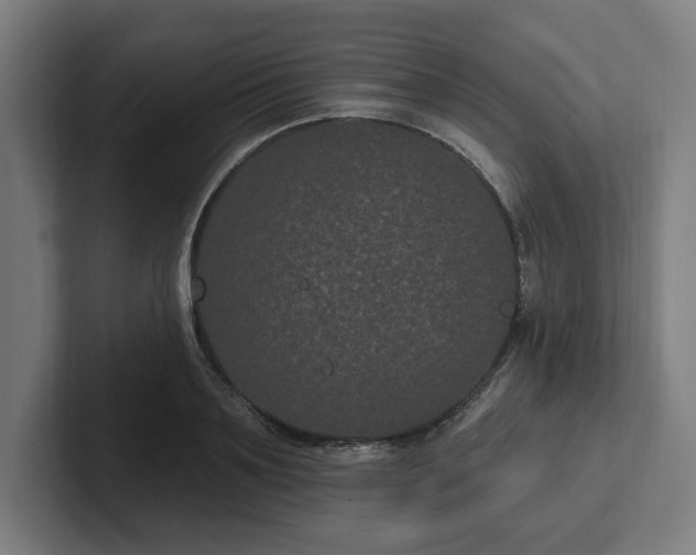 X0000102310891200808011420