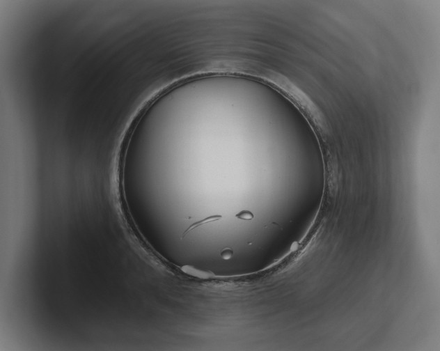 X0000102310896200808011420