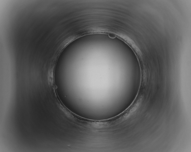 X0000102310897200808011420