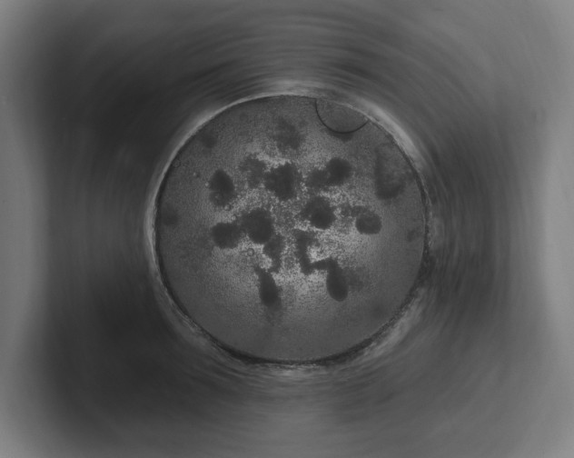 X0000102310899200808011420