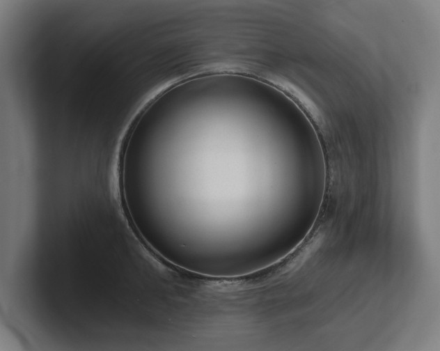 X0000102310902200808011420