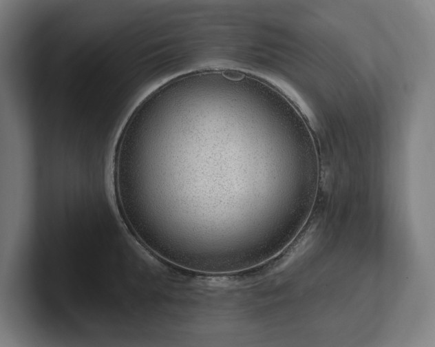 X0000102310903200808011420