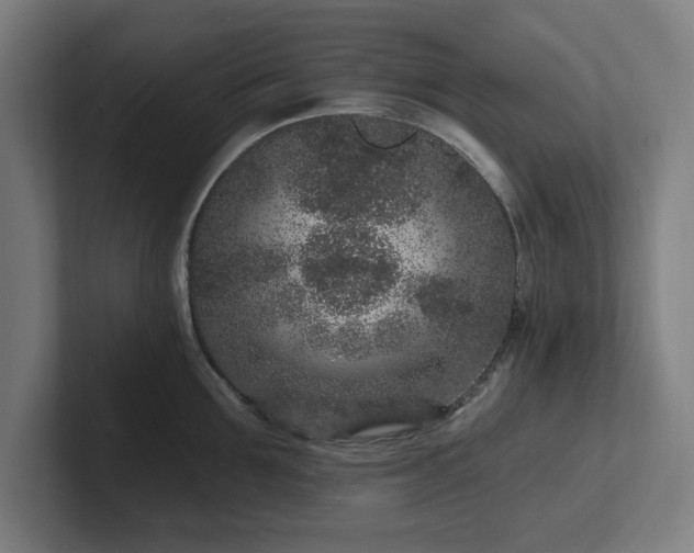 X0000102310907200808011420