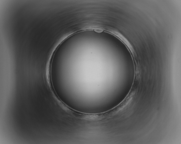 X0000102310909200808011420