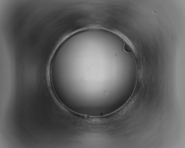 X0000102310911200808011420