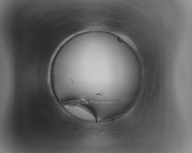 X0000102310912200808011420