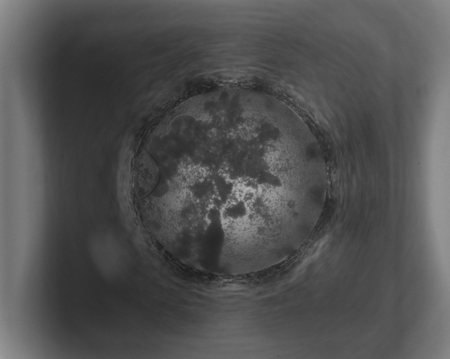 X0000102310913200808011419