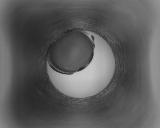 X0000102310916200808011419