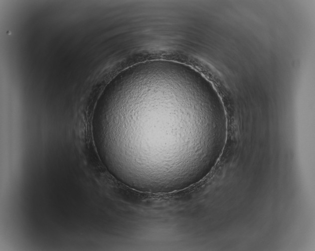 X0000102310917200808011419