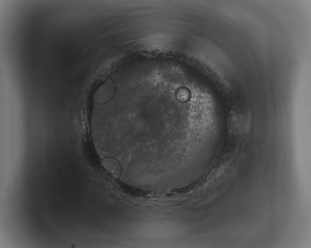 X0000102310918200808011419