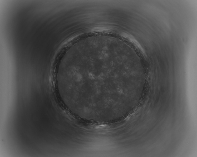 X0000102310920200808011419