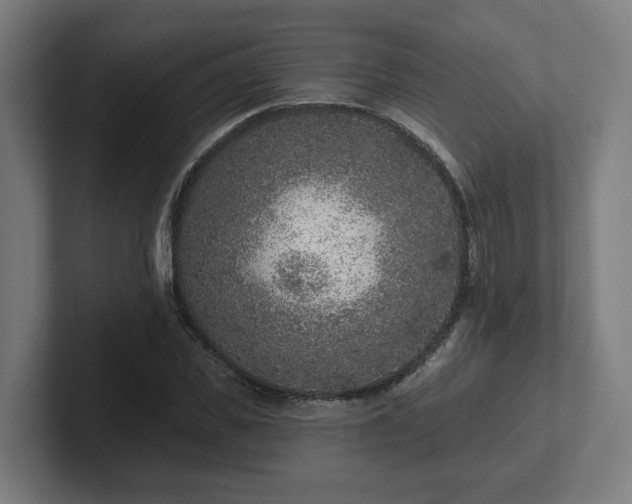 X0000102310925200808011420