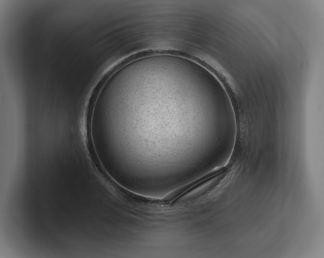 X0000102310935200808011420