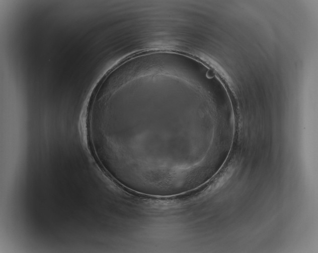 X0000102310941200808011420