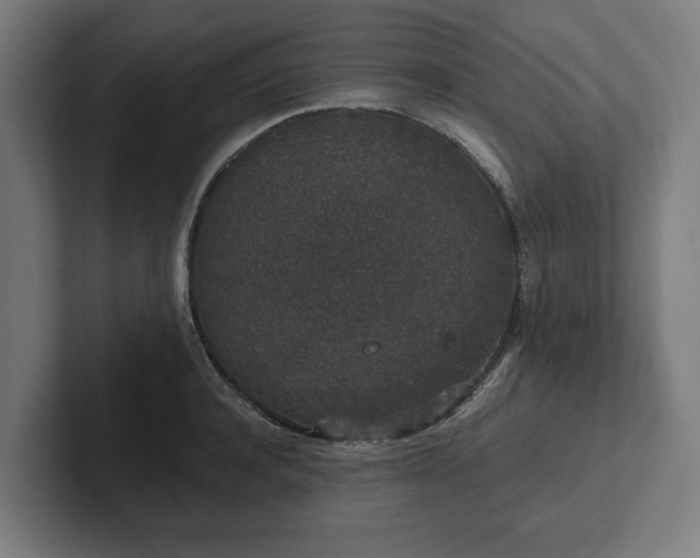 X0000102310944200808011420