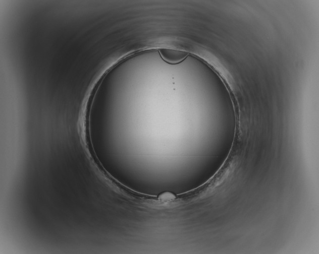 X0000102310949200808011420