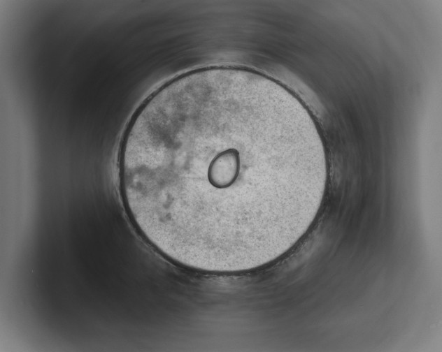 X0000102310950200808011420