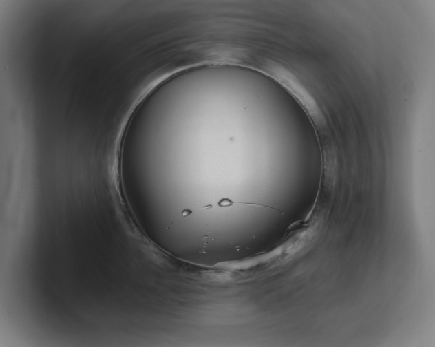 X0000102310956200808011420