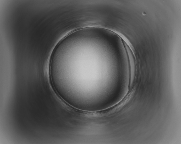 X0000102310957200808011420