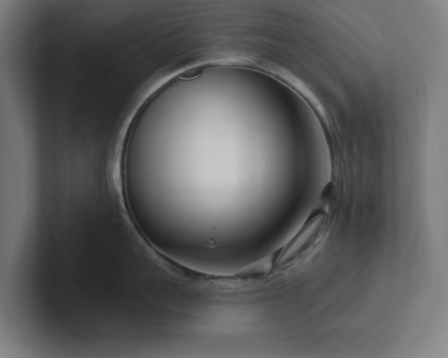 X0000102310959200808011420