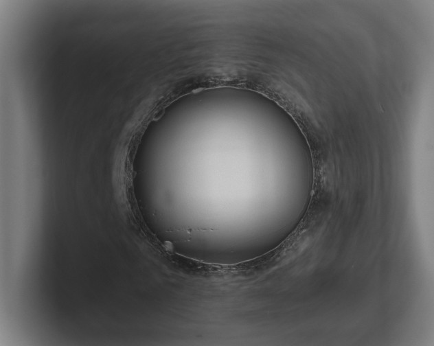 X0000102310961200808011419