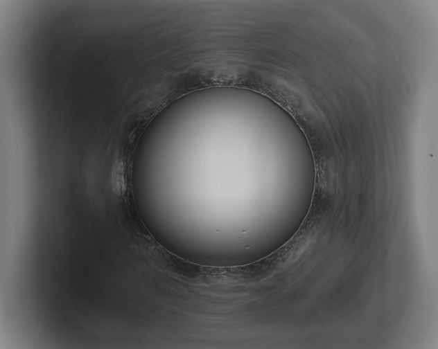 X0000102310962200808011419