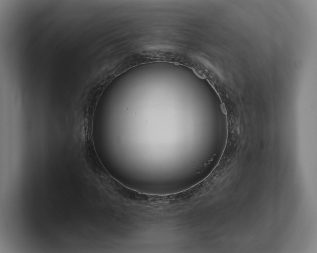 X0000102310965200808011419