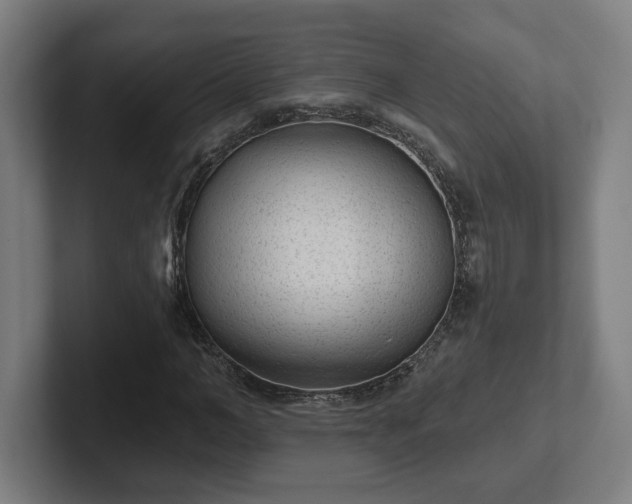 X0000102310966200808011419