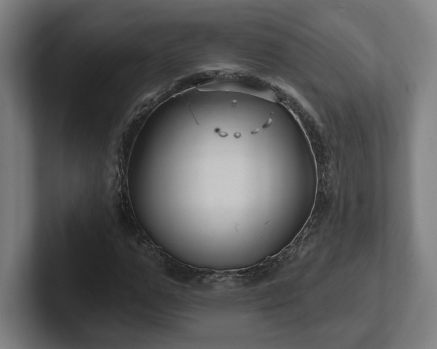 X0000102310967200808011419