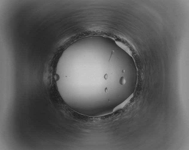 X0000102310968200808011419