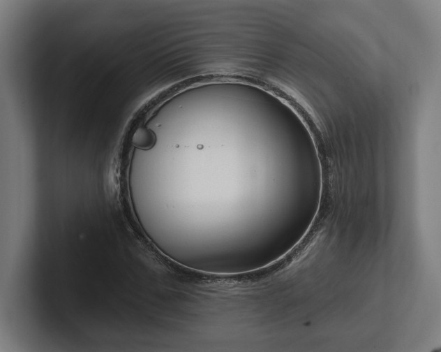 X0000102310971200808011419