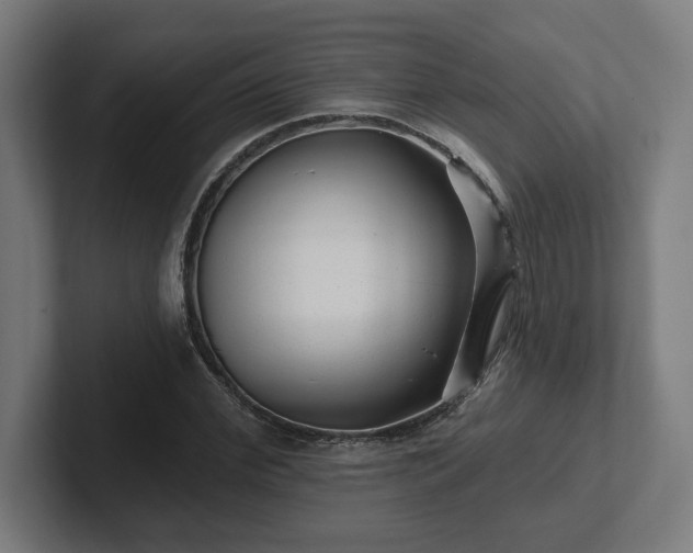 X0000102310972200808011419