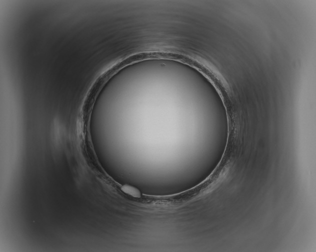 X0000102310974200808011419