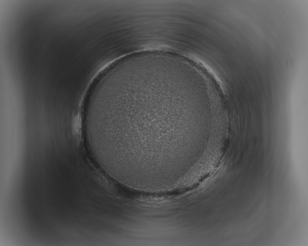 X0000102310975200808011419