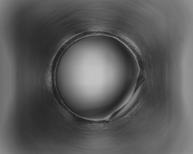 X0000102310976200808011419