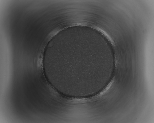 X0000102310977200808011419