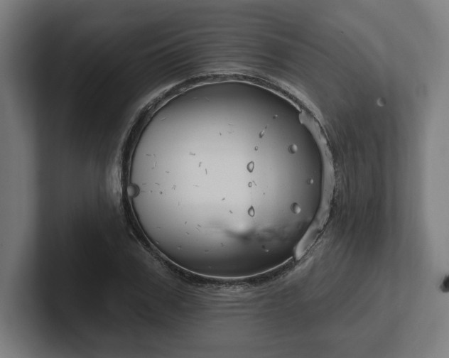 X0000102310979200808011419