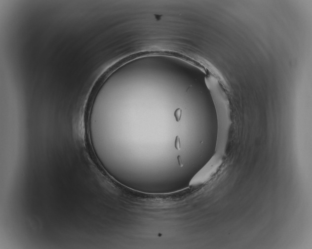 X0000102310980200808011419