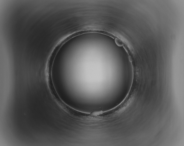 X0000102310981200808011419