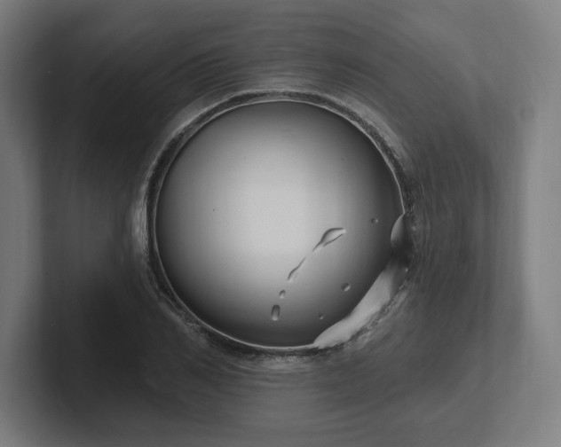 X0000102310982200808011419