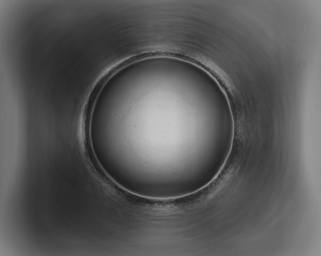 X0000102310983200808011419