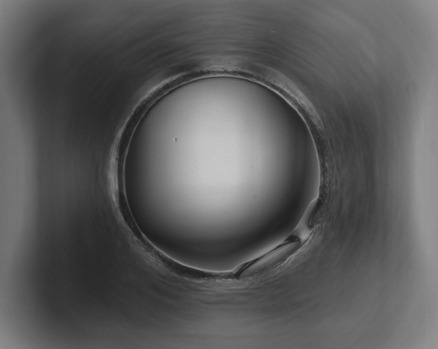 X0000102310984200808011419