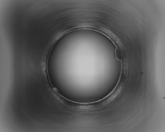 X0000102310985200808011419