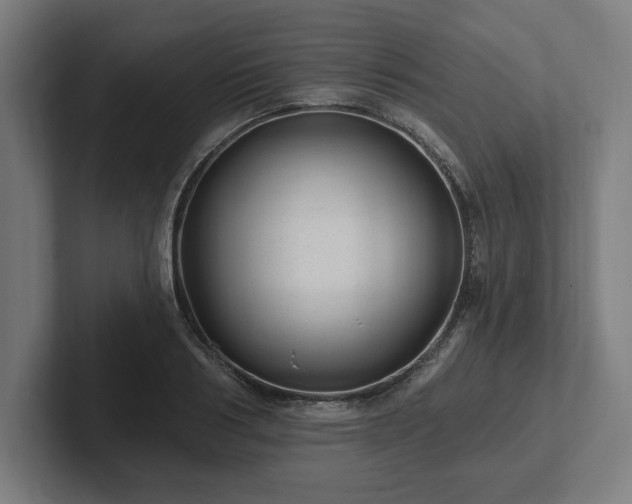 X0000102310986200808011419