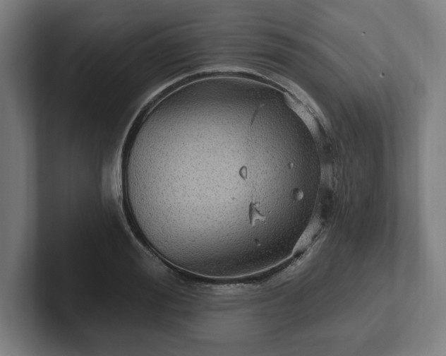 X0000102310988200808011419