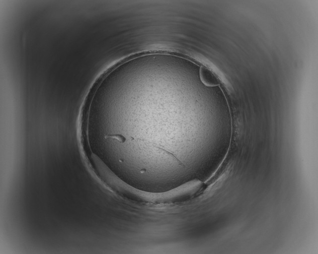 X0000102310991200808011419