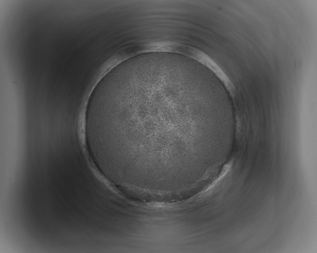 X0000102310994200808011419