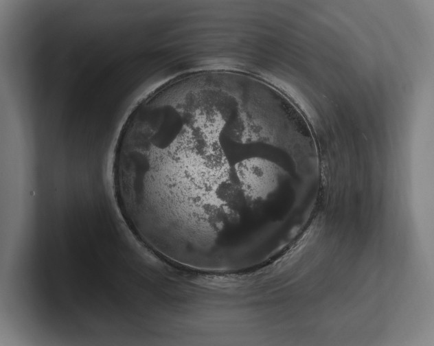 X0000102310995200808011419