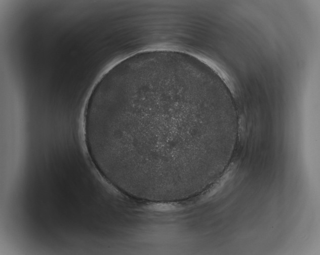 X0000102310998200808011419