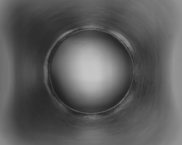 X0000102311000200808011419